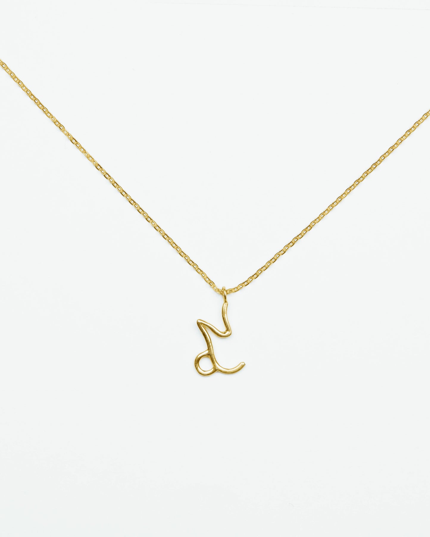 CAPRICORN ZODIAC NECKLACE